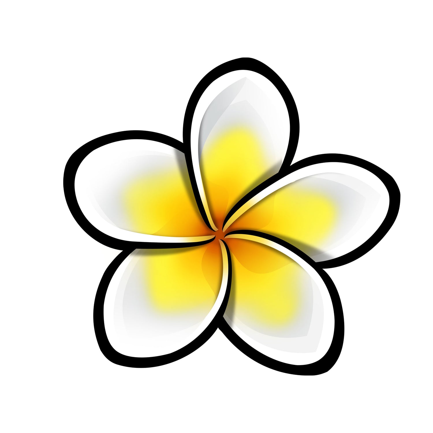 Plumeria