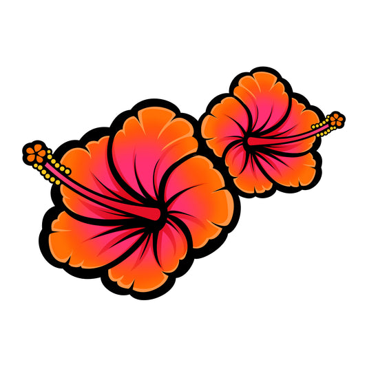 Orange Hibiscus Flowers