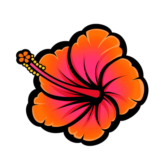 Orange Hibiscus Flower