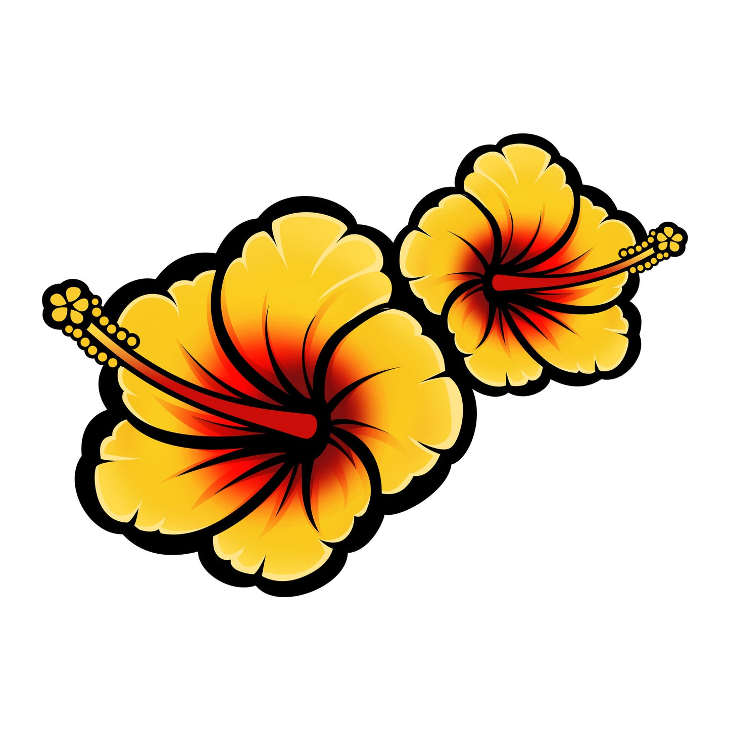 Yellow Hibiscus Flowers